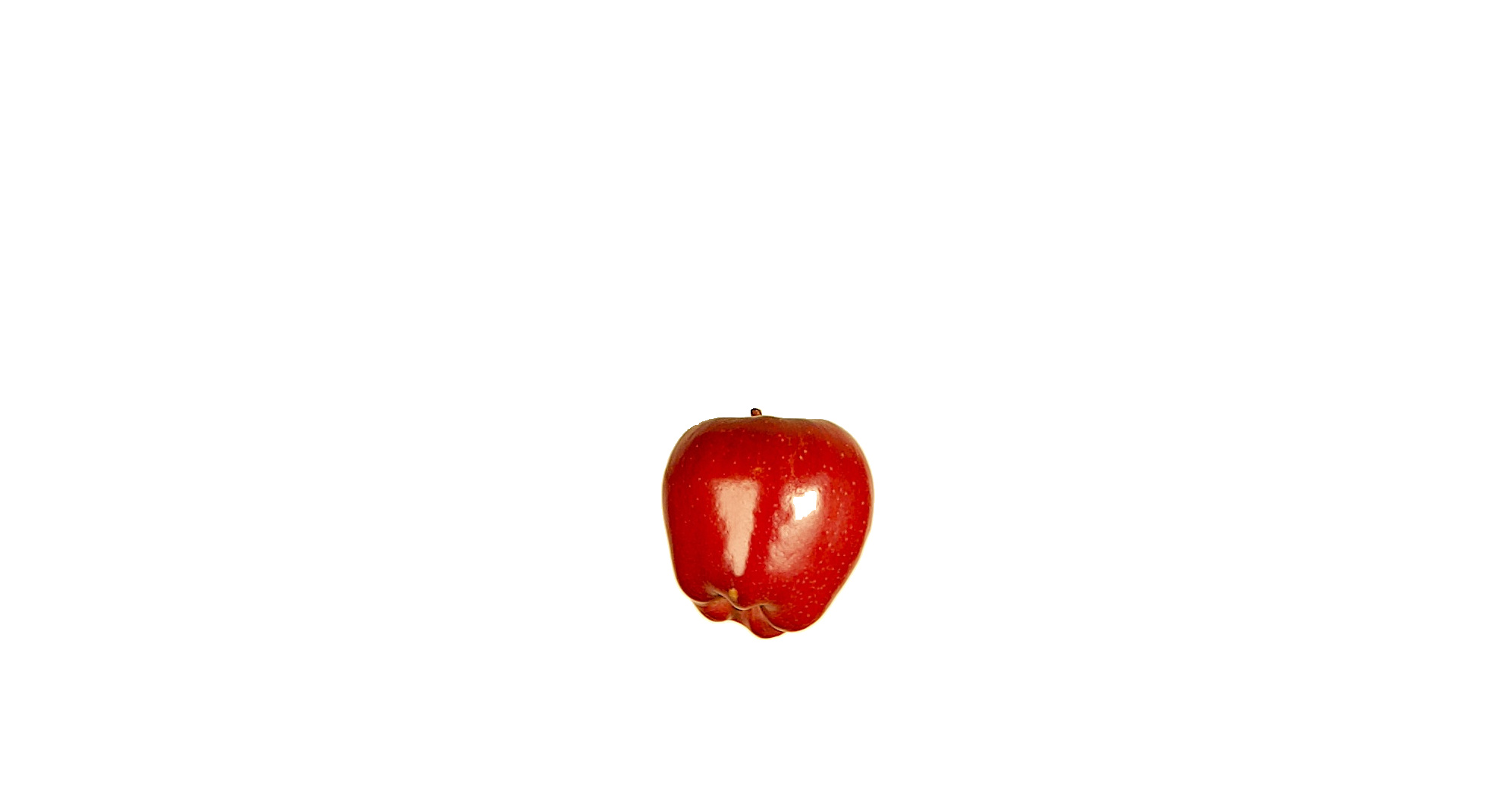 an apple that did not fall.